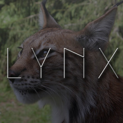 Lynx - Vibe Killers