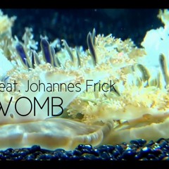 Dfaniks Feat. Johannes Frick ( The Womb )