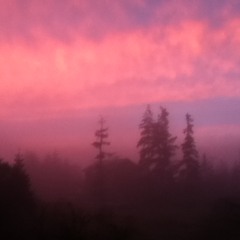 Love, Come And Save Me– Right Away Great Captain! (cover)