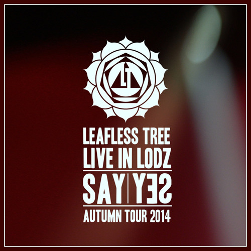 Megacycle (2014, Live in Lodz)