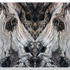 Mahxie & Mvsion - Human Nature