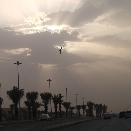 ياويل حالي عند شوفه وفرقاه ياويل حالي لتهجو حروفه - شيله روعه