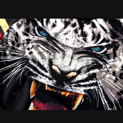 Hello Meteor - White Tiger