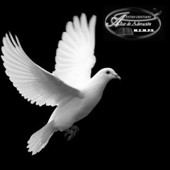 Destinado para impactar_Alex Marquez