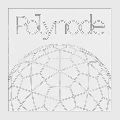 Polynode - Temporal Surge