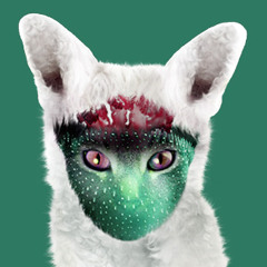 Galantis x Martin Garrix x Blvk sheep - Runaway Voices