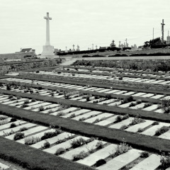 Culture Collections: Microbes from WW1 and Fleming's nose