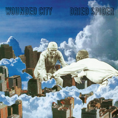 Crazy is Where We Go