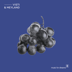 Visti & Meyland - Sharing The Light (Payfone Remix)