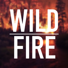Wildfire (Cover)