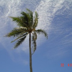 Samoa's pese (Poly Jamz III)