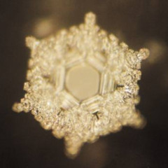 Love and Higher Self Meditation (10min)