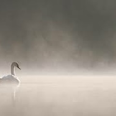 White Mist - Dj Phazz ft Andytylo