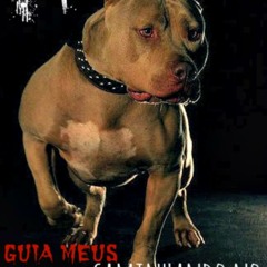 Miame  Bass  Mixado Por DJ PYTBULL  O CRUEL