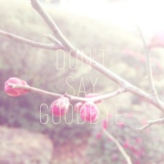 Don't Say Goodbye