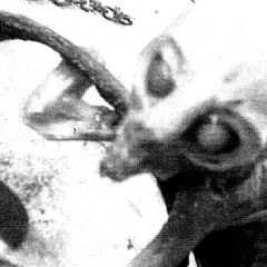 Plastikgarten - Der Nager (Livesession Mastered Version)