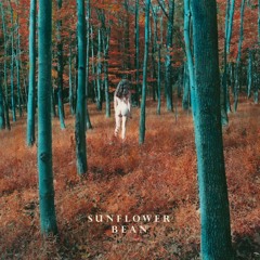 Sunflower Bean - The Stalker
