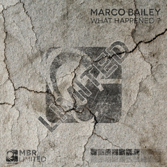 Marco Bailey - What Happened? (Arnaud Le Texier Remix) [MBR Limited]