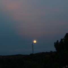 Maryland (voice memo)