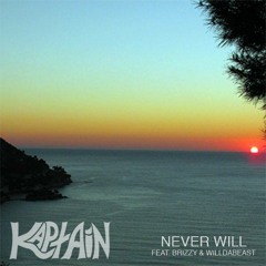 Never Will (feat. Brizzy & Willdabeast)