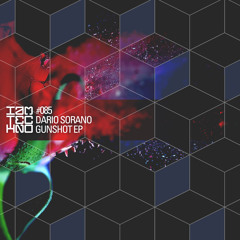 Dario Sorano - Gunshot (Original Mix) [IAMT]