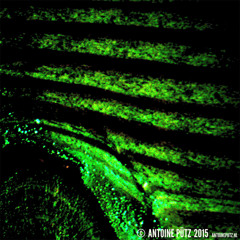 Music Selfie #096 - Yannana (13Jul2003) - 02Jul2015