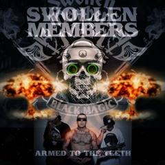 Everlast Ft. Swollen Members  (Remix Assassin RnB) - Put Me On (Bootleg Edit)