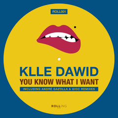 Klle Dawid - You Know What i Want (André Gazolla Remix)[Rolling Music] OUT NOW