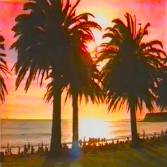 vaporwave you've never heard