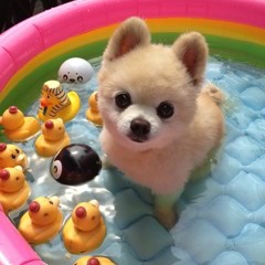 Summah Jahms