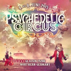 Rising Dust Live 2015 @ Psychedelic Circus -- Germany