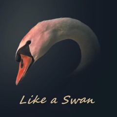 Like a Swan ( Now on Spotify, check the description)