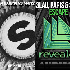 Martin Garrix & Matisse & Sadko vs Bright Lights - Dragon Escape (3LAU Mashup)