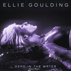 Ellie Goulding - Dead In The Water (Trexx Remix)