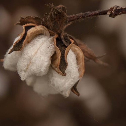 Prepare Thy Soul by Jeshurun