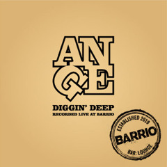 Diggin Deep - Recorded Live at Barrio November 13 2010