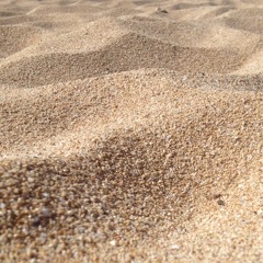 Mouzhan and Sylvain - Sandy Palms