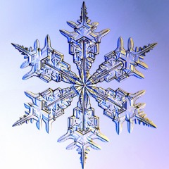 10 degrees celsius