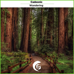 Cadeonic || Wandering (Original Mix)