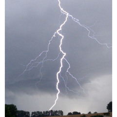 SAVE THE BEES-Northern Lights Boost