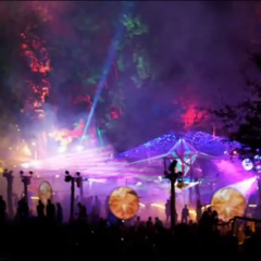 Psychedelic-forest