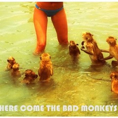 Here Come The Bad Monkeys