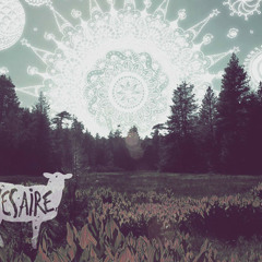 Son Feci Bisiklet - Gece