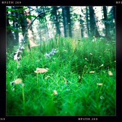 Pinoa w/ Bree van Reyk