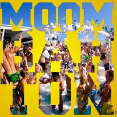 Best Moombahton Summer Megamix