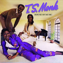 T.S. Monk - Hot Night in the City