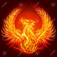 Jei Vs Biologik - Ready For Phoenix (Juan Erbin MASHUP)