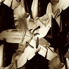 @ Kreuzberger Südseite mixed by Aybee