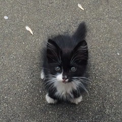 Dahaka - Advokat Rate Attack Remix