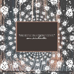 King Beetle on a Coconut Estate (mewithoutYou cover)